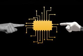 leyu乐鱼在线登录入口-体育课程资源数字化建设与利用现状，体育课程资源开发利用