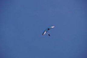 LEYU乐鱼体育官方网站-全国青少年水上滑翔锦标赛天津盛大开幕，水上滑翔机价格