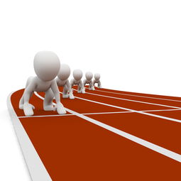 Leyu Sport下载-意甲青训营引入认知训练板提高球员战术反应速度，意甲青年队  第2张