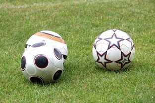 leyu.com-未来足球市场：数字资产与足球产业的融合，足球概念数字货币  第1张