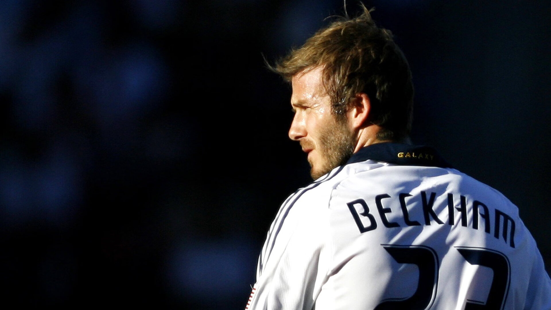 国王球迷自制纪录片上线引发共鸣,国王球队在哪个城市